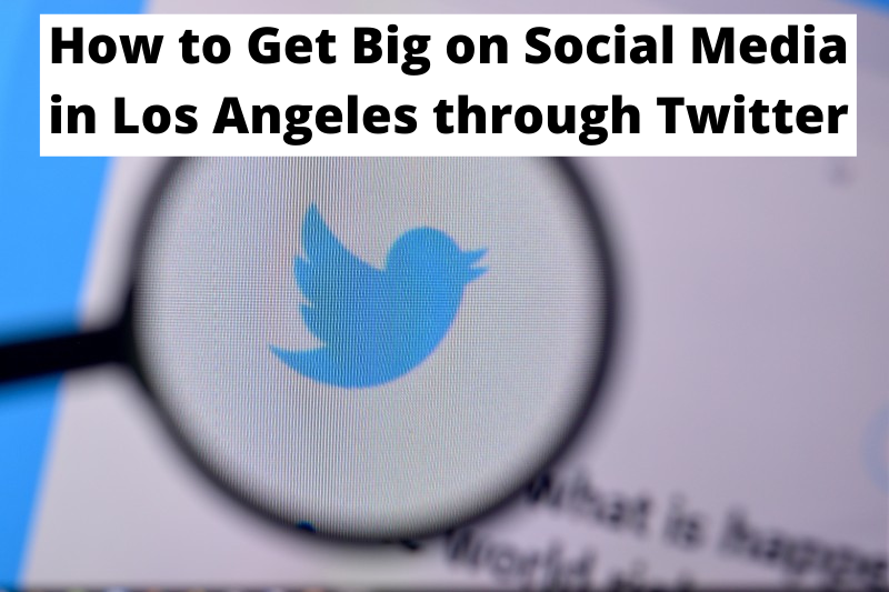 Tips on gaining more followers on twitter through social media in Los Angeles